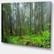 Designart - Hoh Rain Forest - Landscape Photography Canvas Art Print